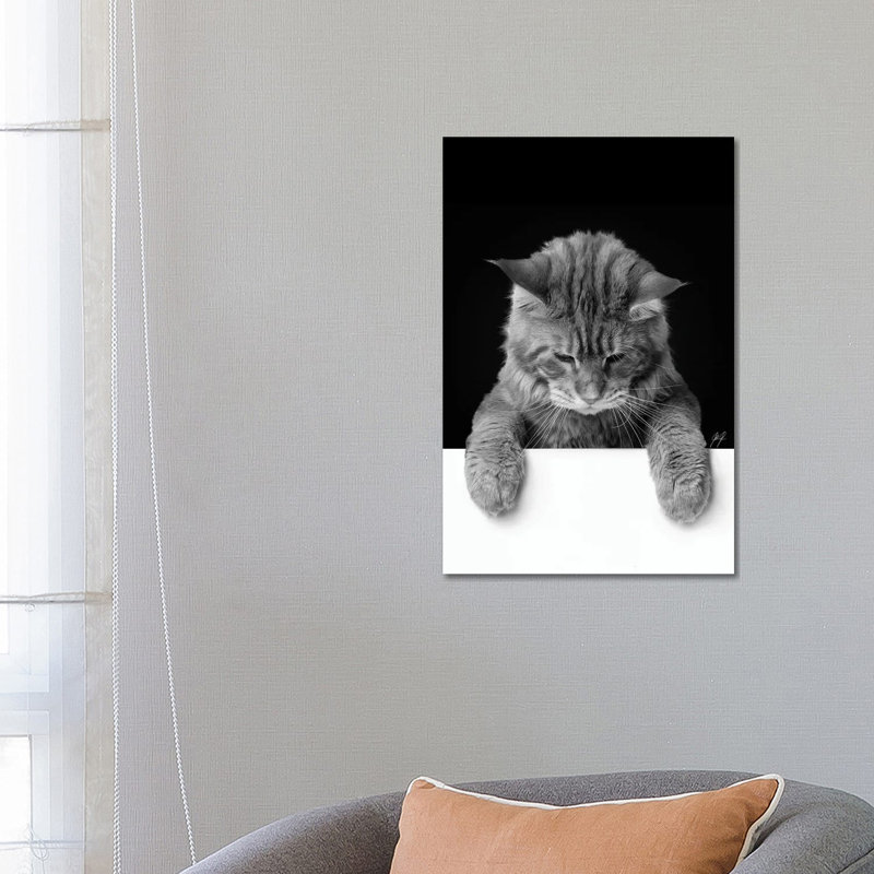 Cute Cat I by Kathrin Federer - Wrapped Canvas Print
