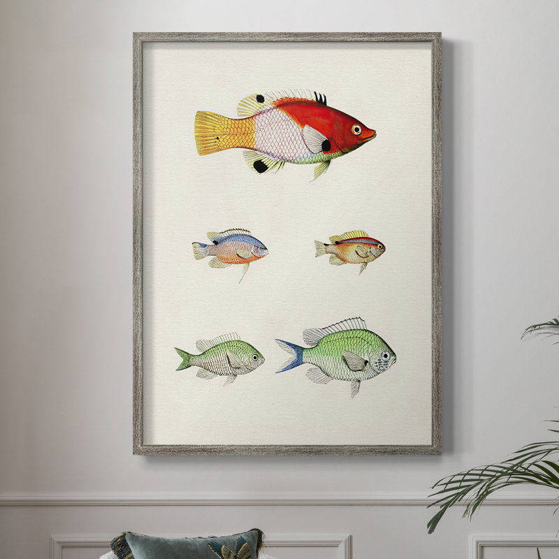 «Colorful Tropical Fish I», reproduction encadrée - bois massif, H 30 po x l 24 po