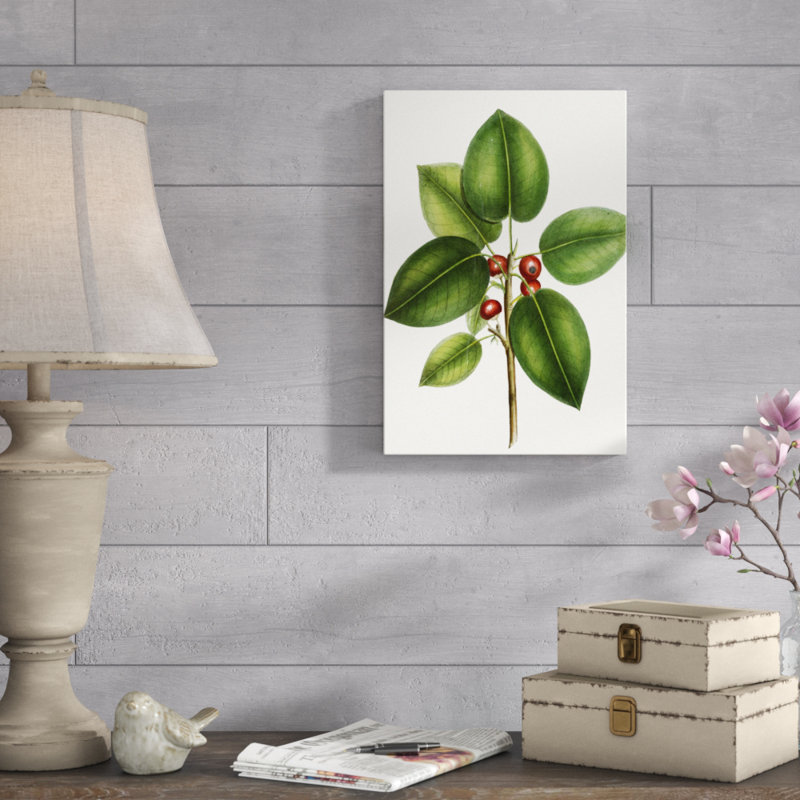 Short leaved Fig Tree by Thomas Nuttall - Painting Print, 46cm H x 30cm W, Wrapped Canvas