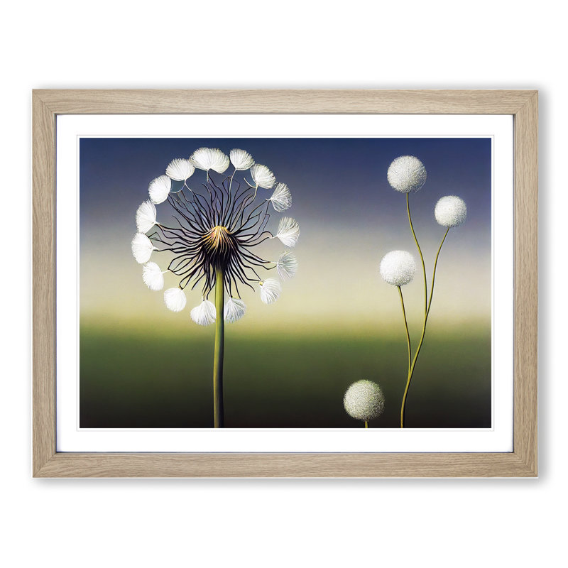 Stunning Dandelion Flowers - Single Picture Frame Print, 25cm H x 34cm W x 2cm D, Oak