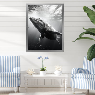 Whale Dance II - Whale Animal Wall Art