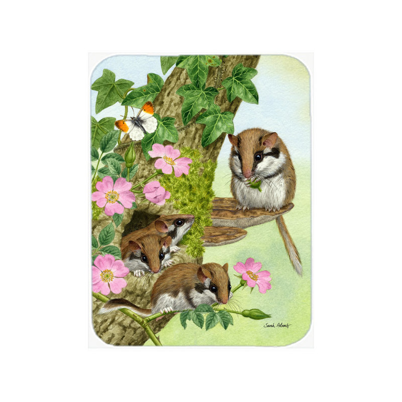 Planche à découper en verre caroline trésors dormice Dormouse