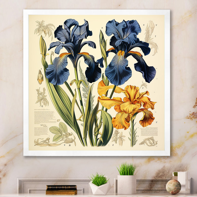 Illustration rétro - iris bleus, Cadre simple blanc, H 24 po x l 24 po x P 1 po