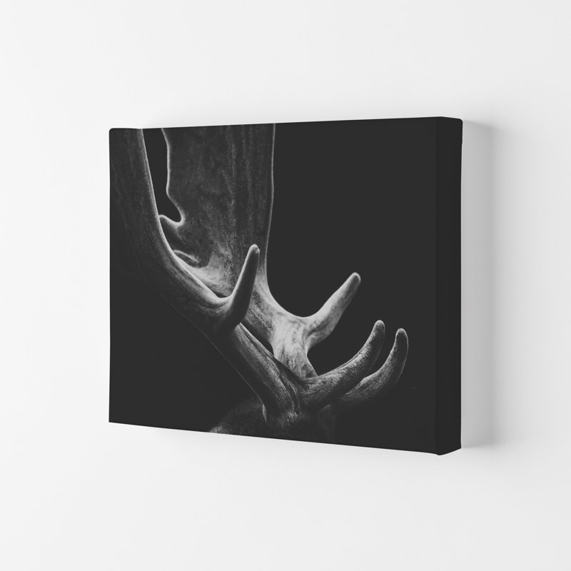 Antlers by Victoria Frost - Print, 21cm H x 29.7cm W x 4cm D, Wrapped Canvas