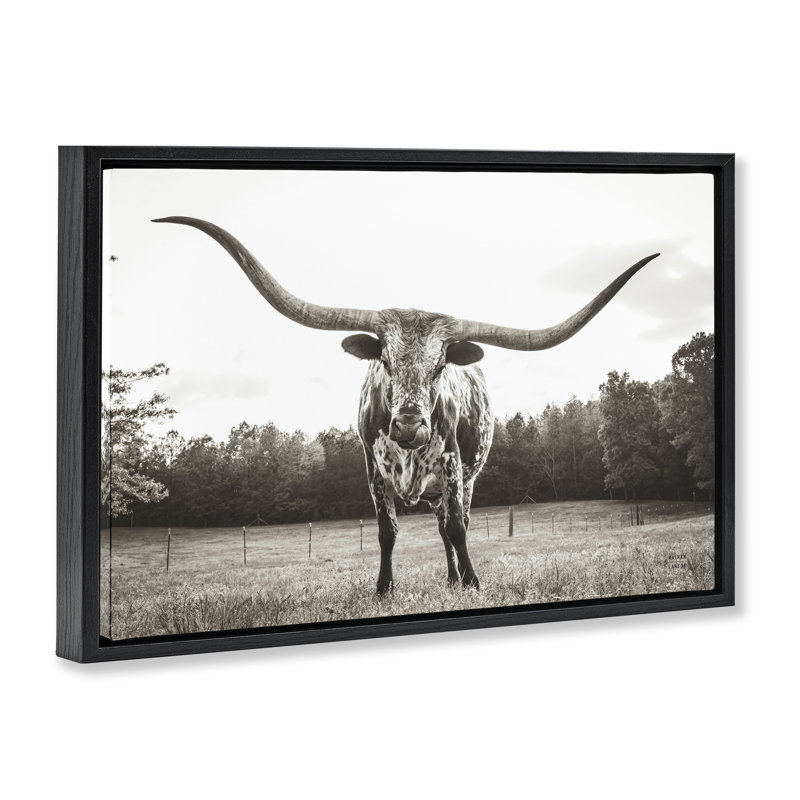  Longhorn Licking Lips Floater Canvas by Nathan Larson, Cadre flottant noir de jais, H 17 po x l 25 po