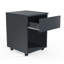 Remedios 39cm Wide File Cabinet-133063769-133063773