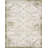 Outdoor Chand Area Rug Ivory-Green Color-1723707295