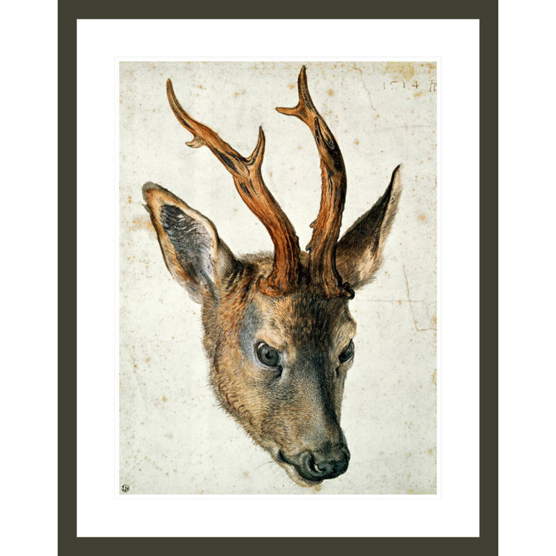 «Head of a Roe Deer» par Albrecht Dürer, impression giclée sur cadre, H 29,5 po x l 23,35 po