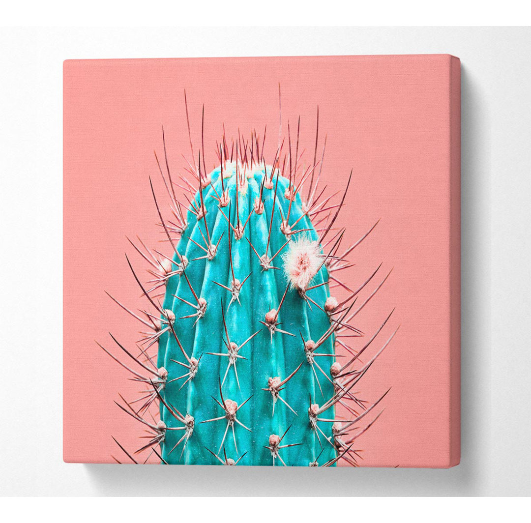 Teal Cactus - Kunstdrucke auf Segeltuch