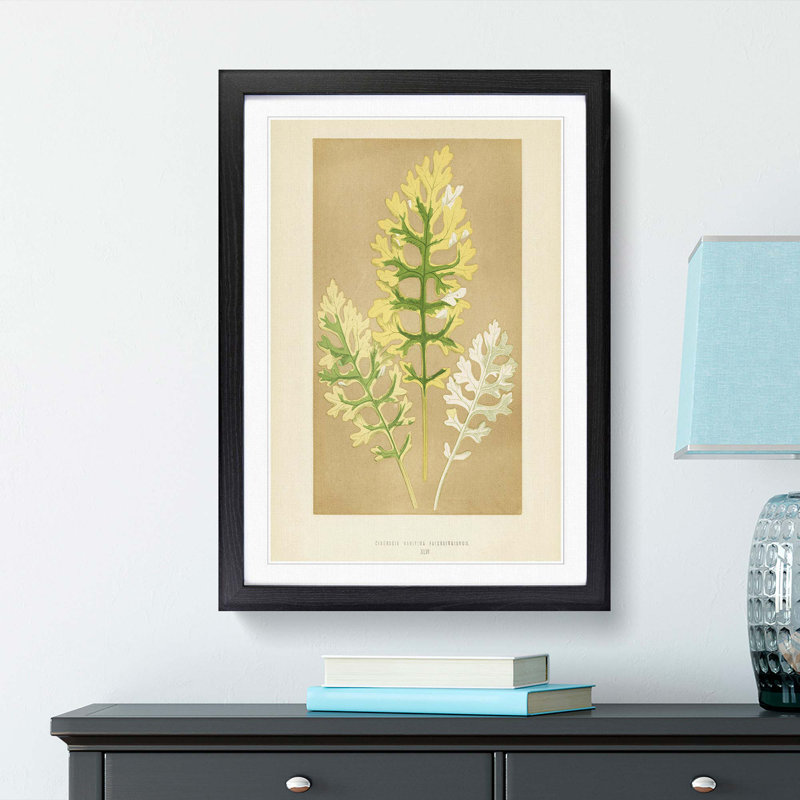 Leaf Illustration by Benjamin Fawcett - Picture Frame Painting Print, Black Framed, 87cm H x 62cm W x 2cm D