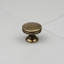 30mm Antique Brass Layered Round Knob