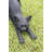 Cat Stretching Statue-120612136