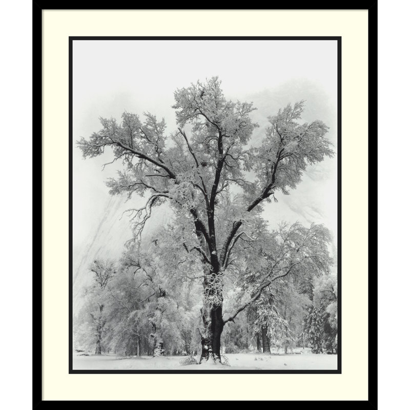Black and White Framed Landscape Print, 27 x 32 inches