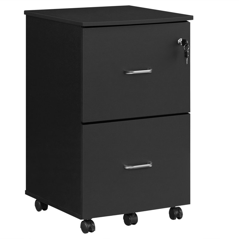 Ayia 45cm Wide 2 -Drawer Mobile File Cabinet, Black