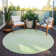 Azaniah Washable Floral Indoor / Outdoor Rug