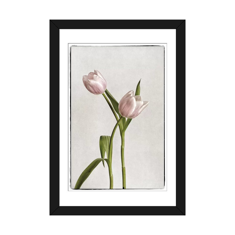 « light tulipes iv », reproduction de photo sur toile tendue, H 32 po x l 24 po x P 1 po, Papier d'art encadré noir, Blanc