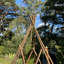 Allmond Wood Expanding Trellis-540356294