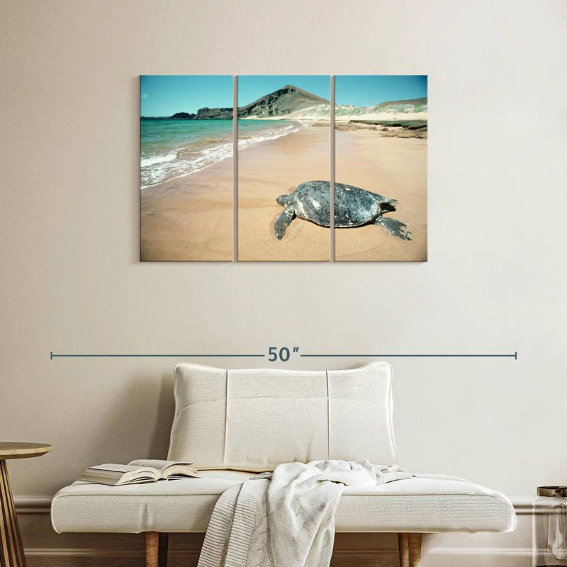 Brampt Galapagos Loggerhead Turtle, 24" H x 38" W