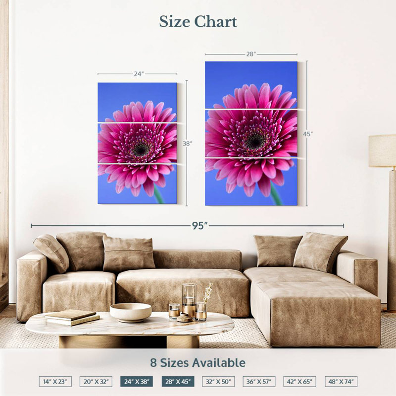 Rose Harnek Gerbera Daisy I, H 38 po x l 24 po