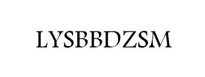 LYSBBDZSM Logo