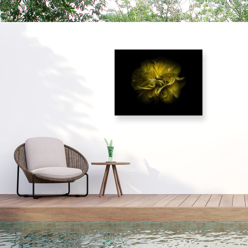 «Bolic Backyard Flowers 67», reproduction sur toile, H 24 po x l 32 po