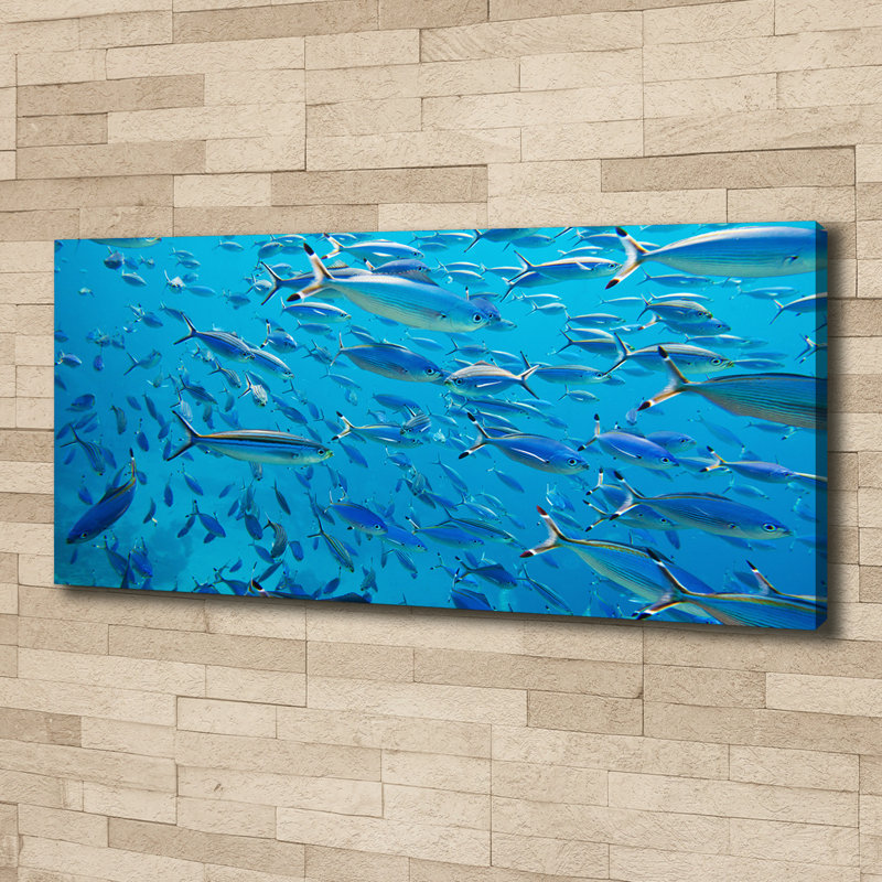 Coral Fish - Wrapped Canvas Print