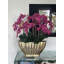 Vivien Gold Vase With Phaleanopsis Orchids-772172527