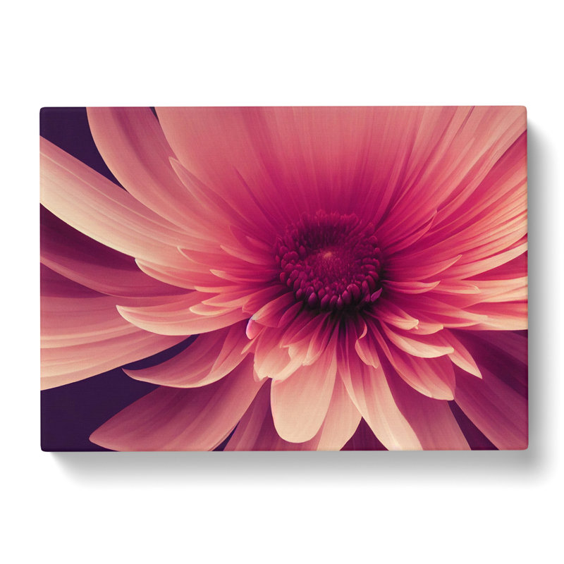 Cute Chrysanthemum Flower Vol.2 - Wrapped Canvas, 40cm H x 60cm W x 3cm D