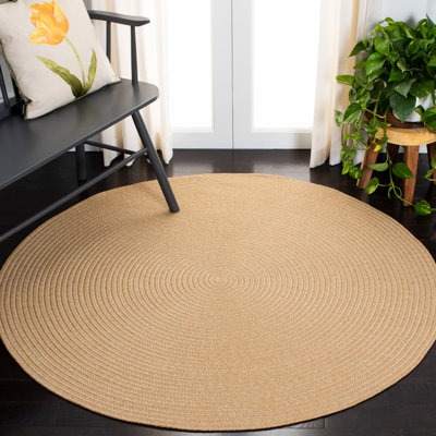Tapis d'intérieur / extérieur tissé à la main tressé à la main