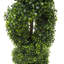 Topiaire en buis vert 4 pi Vickerman-731724902