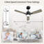 Ventilateur de plafond Honoria