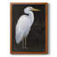 White Heron Portrait I, toile encadrée de qualité supérieure - prête à être accrochée-360671713