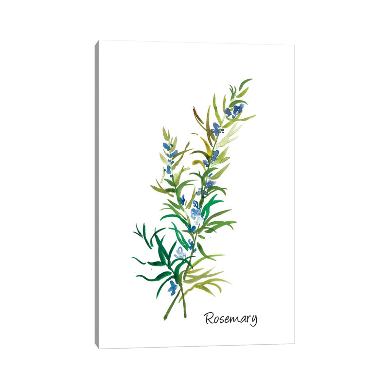 Rosemary II by Asia Jensen - Wrapped Canvas Painting