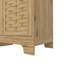 Storage Cabinet with 3 Doors