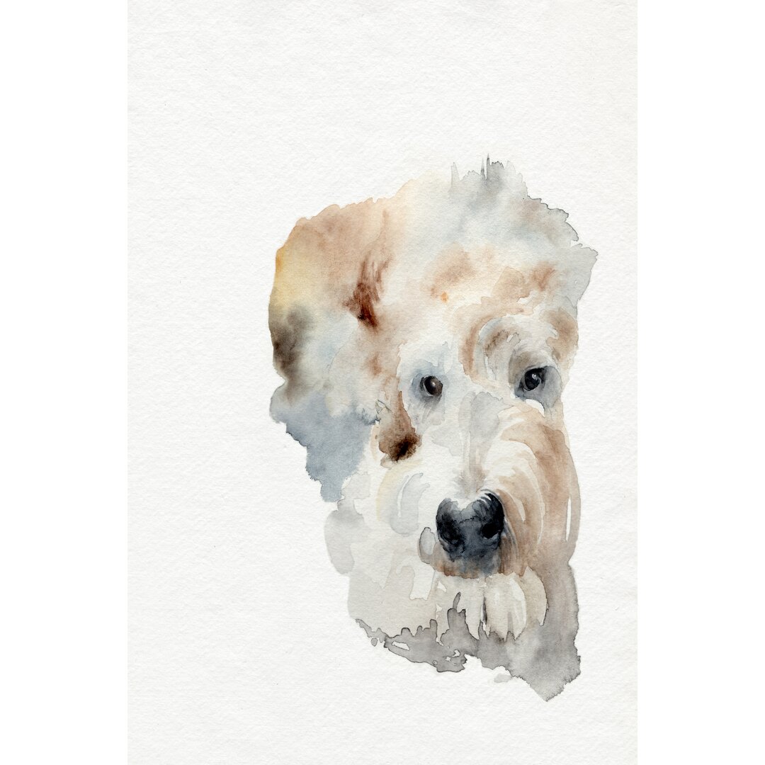 Leinwandbild Scruffy Puppy I von Jennifer Paxton Parker