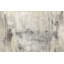 Penumbra VI Mural by Matera-594143406