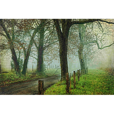 Le matin sur Sparks Lane IV