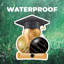 Ensemble de panneaux Jumbo Graduation Yard, 6 pi x 3 pi, comprenant des piquets-929457251