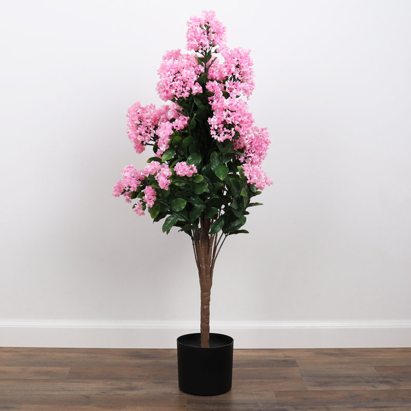 Lilas en pot - moyen, Rose