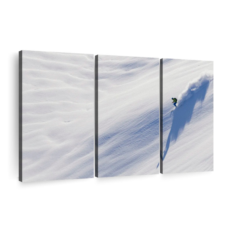 " Man Skiing " 3 - Pieces, 20" H x 33" W x 1.25" D