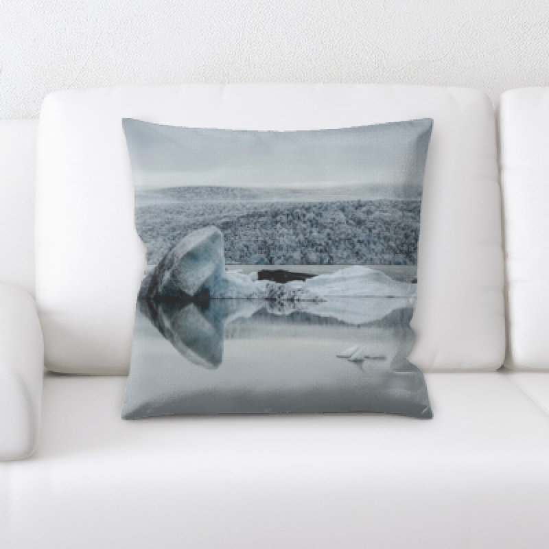 Coussin décoratif