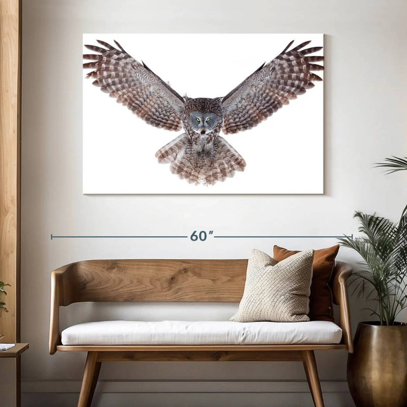 Owl Power, H 32 po x l 48 po