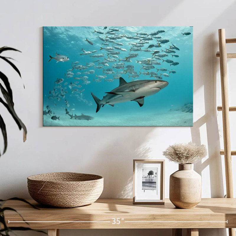 Brampt, poisson et requin des Caraïbes, H 16 po x l 24 po