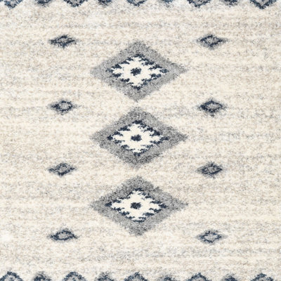 Southwestern Indoor Rug