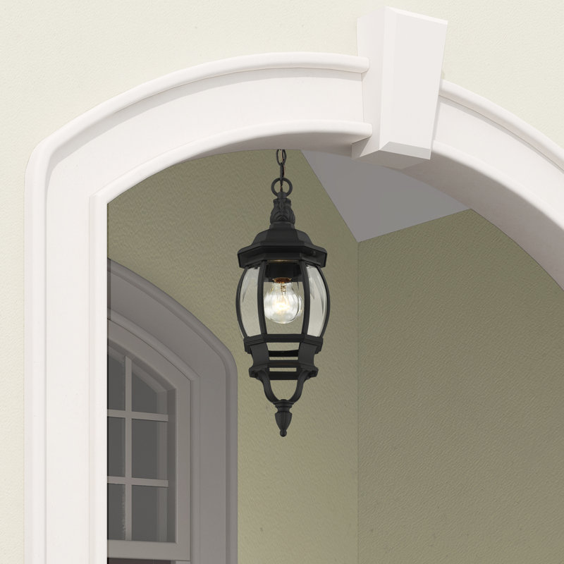 Alaray Outdoor Hanging Lantern