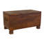 Anays Accent Trunk