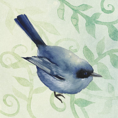 " Little Bird I "