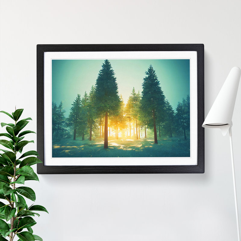 Spectacular Pine Tree Forest - Framed Print, Black, 46cm H x 64cm W x 2cm D