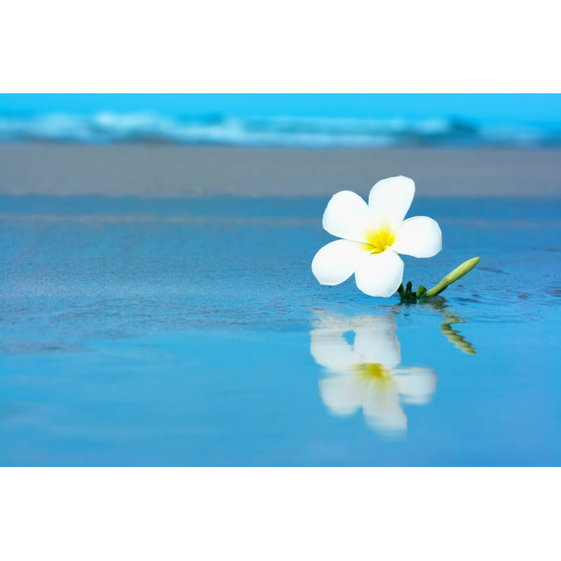 Fleur tropicale - photographie sur toile tendue, H 8 po x l 12 po