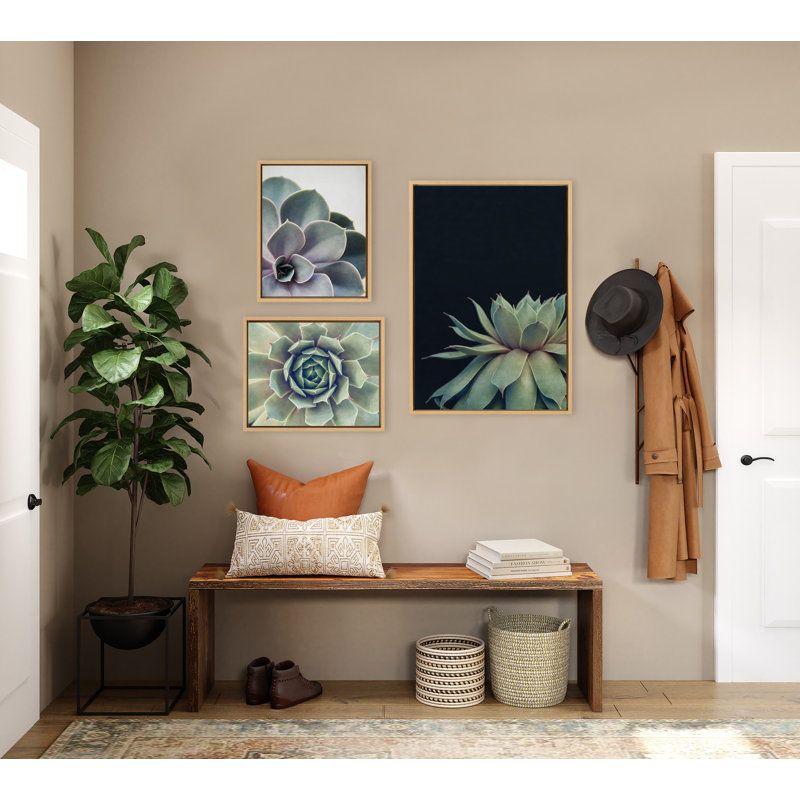 «Succulent 8, Succulent 1 and Succulent 5» par Emiko et Mark Franzen, ensemble de 2 toiles encadrées, Naturel
